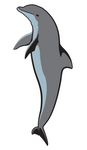 Dolphin Apparel